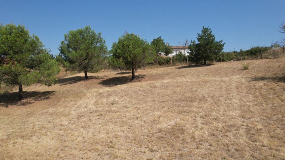 Vente Terrain EN EXCLUSIVITE - TERRAIN HORS LOTISSEMENT 1754 m2 Villefloure