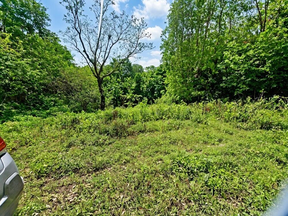 Vente Terrain Terrain constructible à vendre 1680M2 SAINTE ANNE (971) Sainte anne