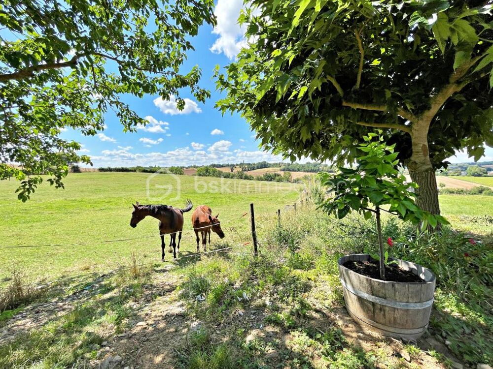 Vente Maison PROPRIETE – SECTEUR GAILLACOIS Gaillac