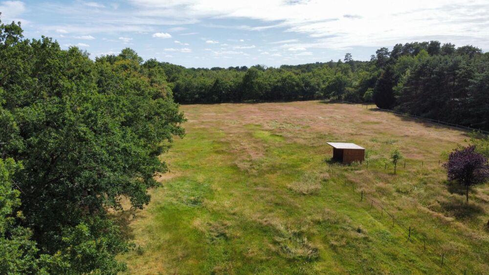 Vente Terrain Terrain Villefranche Sur Cher 9000 m2 Villefranche sur cher