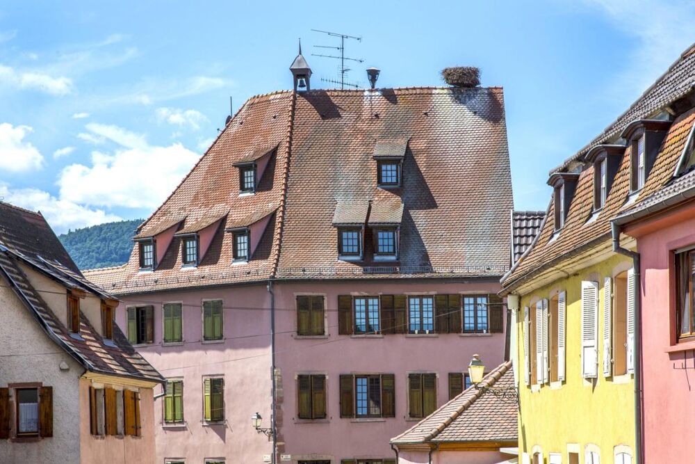 Location Appartement 18510007 - Appartement - F2 - Hattstatt (68420) Hattstatt