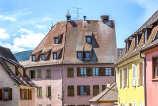 Location Appartement 18510007 - Appartement - F2 - Hattstatt (68420) Hattstatt