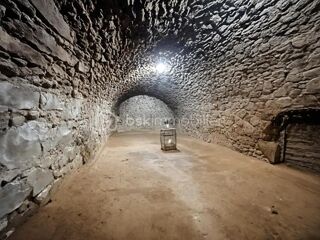  Maison � vendre 15 + pi�ces 280 m�