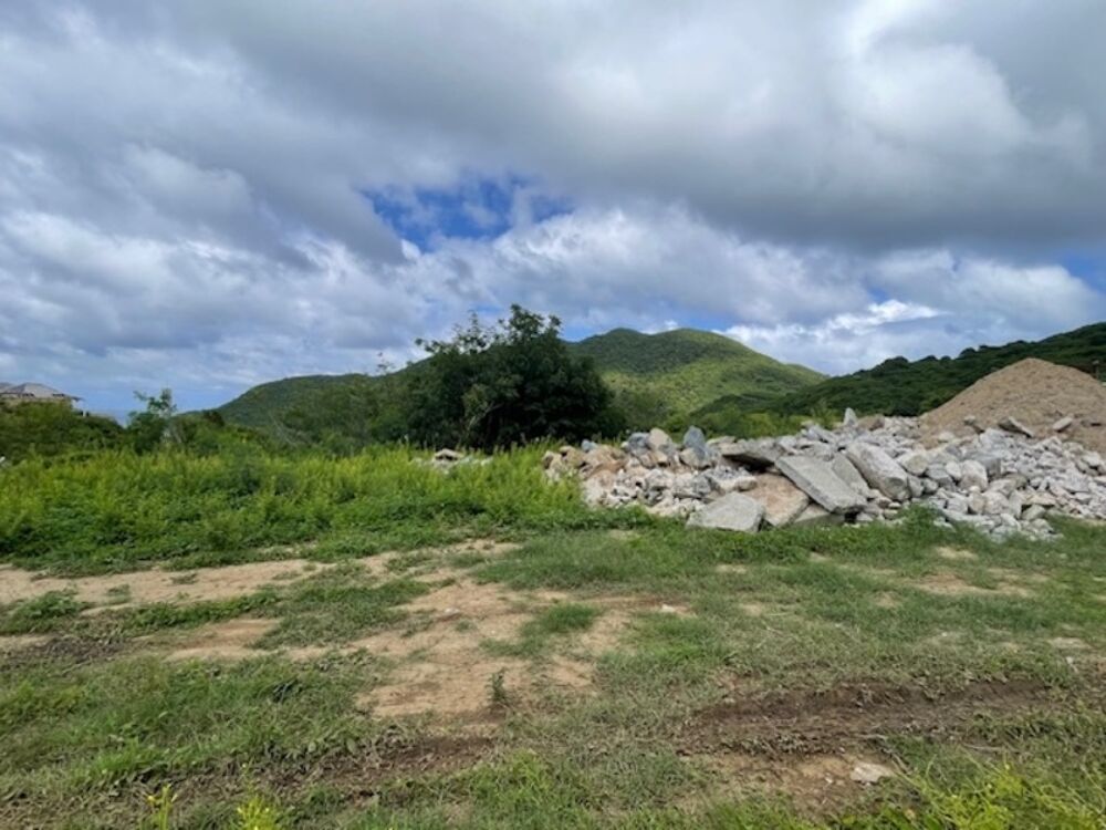 Vente Terrain Terrain à vendre  SAINT MARTIN (978) Saint martin