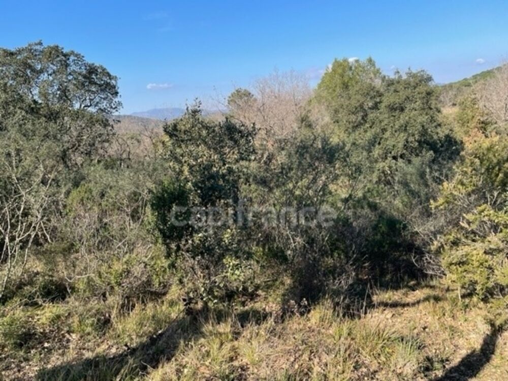   Var (83), à vendre GASSIN Terrain Agricole Zone AOC environ 17 000 m² (1 ha 7a) (31 euros/m2) 