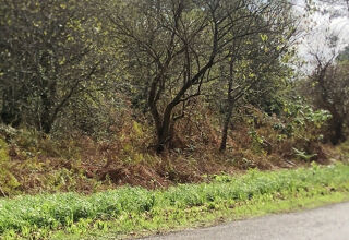  Terrain � vendre 8438 m�