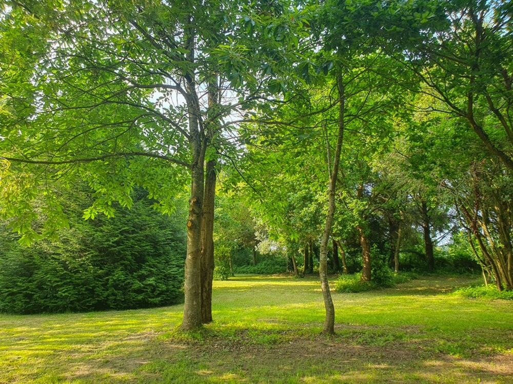 � vendre  Propri�t�/ch�teau Pl�guien (22290)