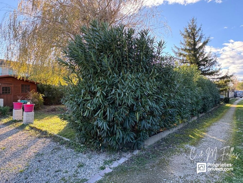 Vente Terrain Rare ! Terrain libre constructeur proche centre-village à Entraigues-sur-la-Sorgue Entraigues sur la sorgue