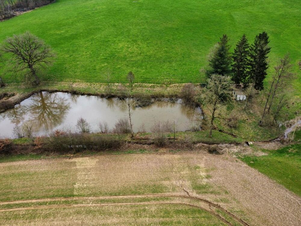 Vente Terrain Etang Aubenton 14810 m2 Aubenton