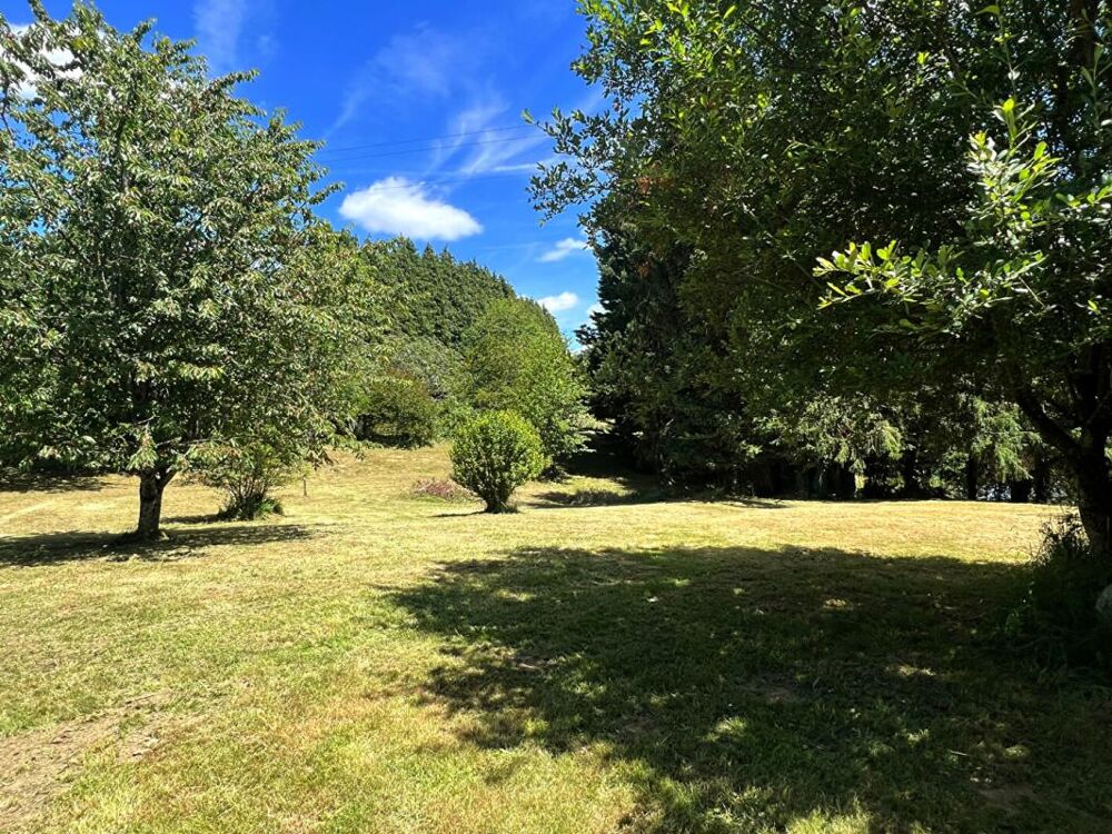 Vente Terrain Etang avec chalet (s) 35 m2 Sarlande