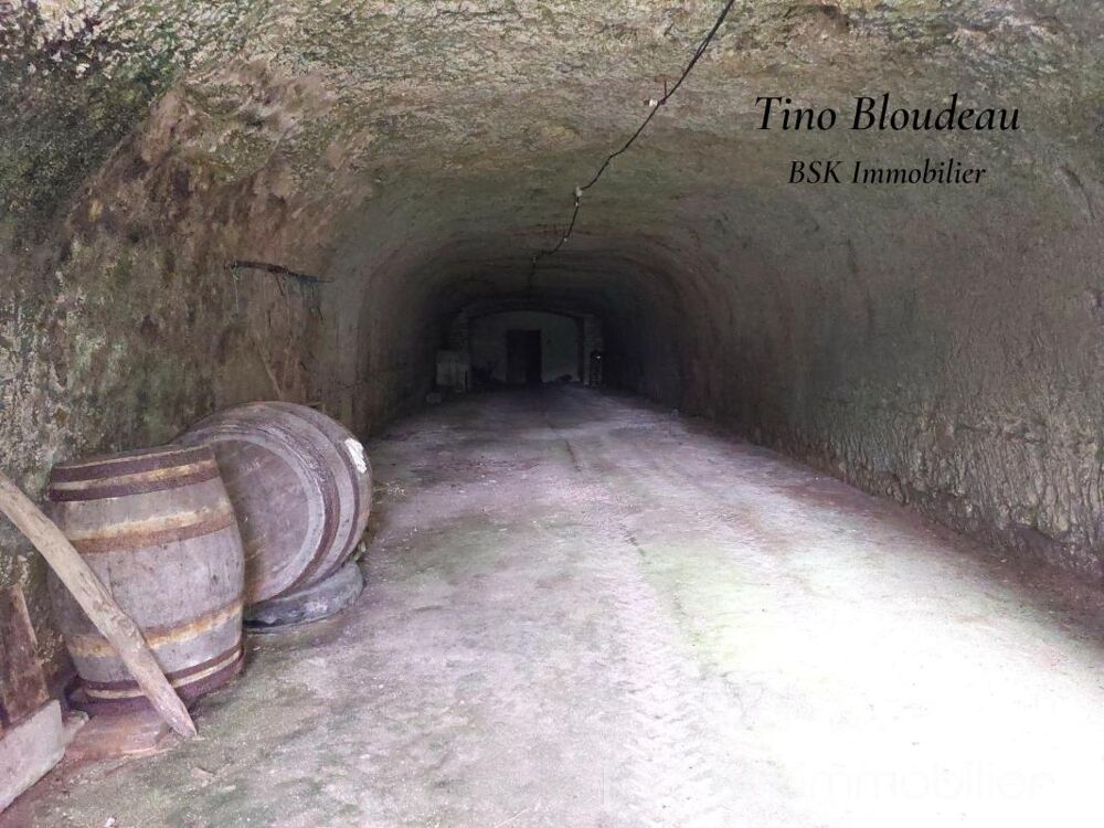 Vente Maison Cave voutée troglo La croix en touraine