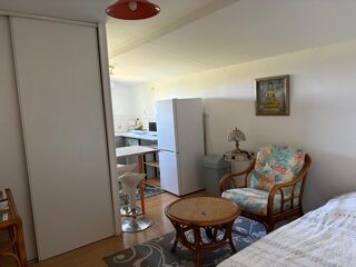  Appartement à louer 1 pièce 20 m²