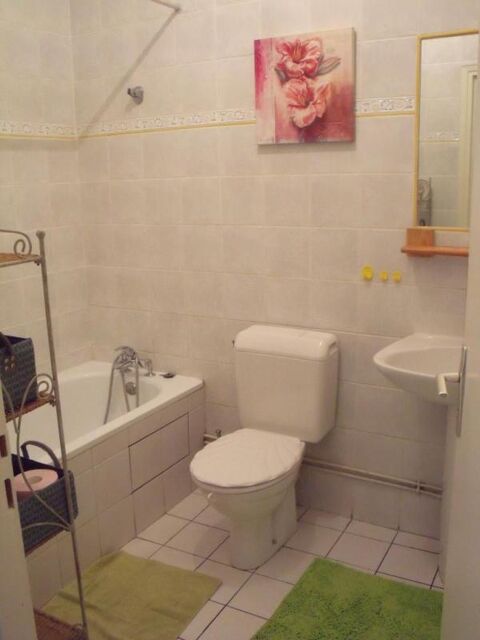  Appartement � louer 1 pi�ce 21 m�