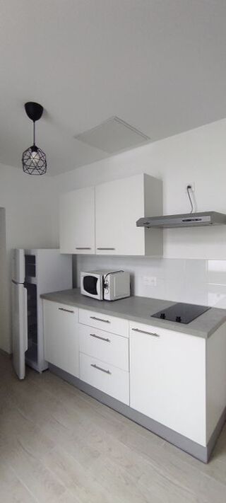  Appartement à louer 1 pièce 29 m²