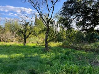 Terrain à vendre 2500 m²