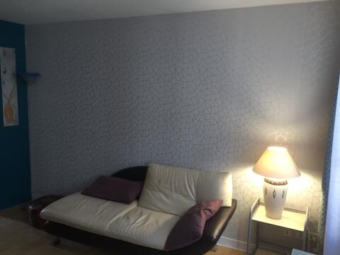  Appartement � louer 1 pi�ce 21 m�