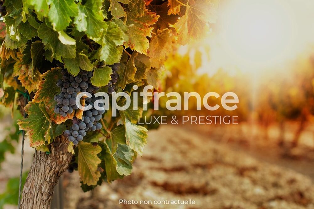 Dpt Gard (30), Domaine viticole de 16 hectares avec Chai et ancienne ferme indépendante