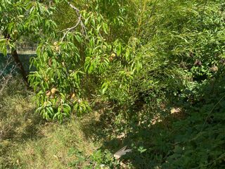  Maison � vendre 3 pi�ces 52 m�