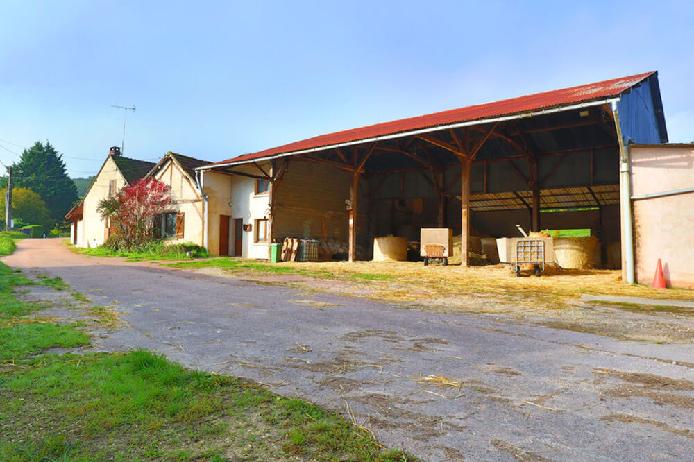 Vente Propri�t�/Ch�teau HARS dans Yonne 1 H 30 de Paris Saint denis sur ouanne