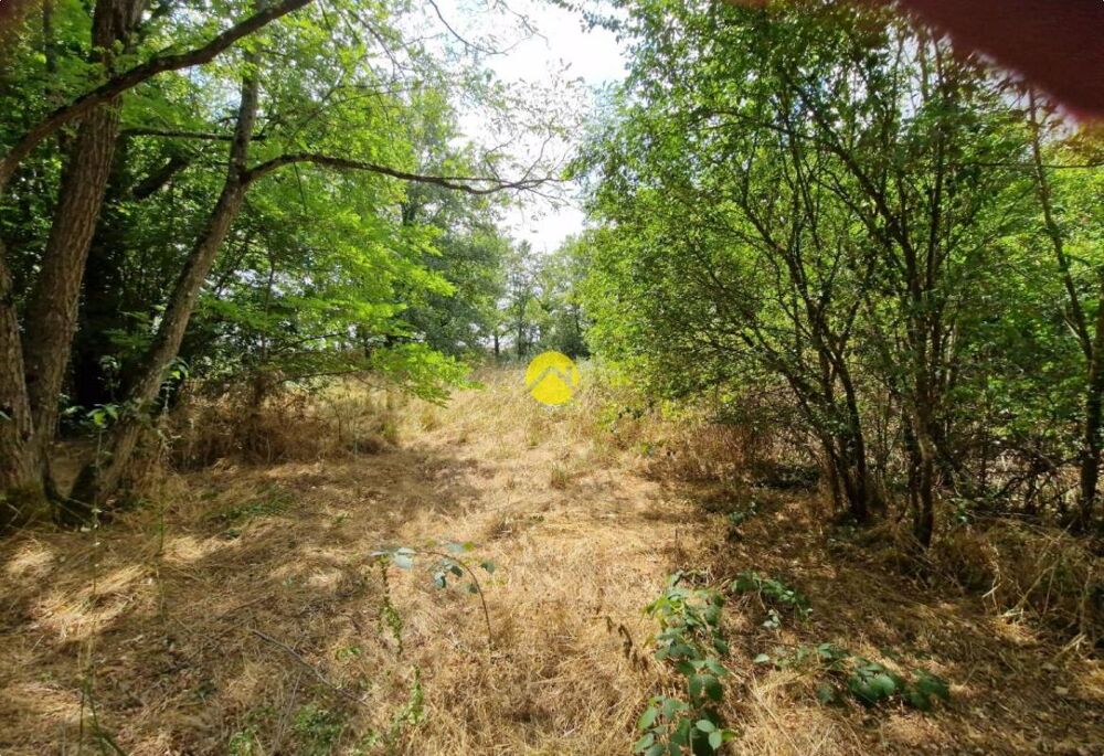 Vente Terrain Terrain constructible de 2505 m² La guerche sur l aubois