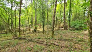  Terrain à vendre 6365 m²