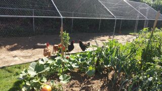  Maison � vendre 5 pi�ces 160 m�