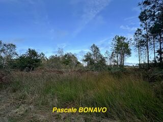  Terrain  vendre 2770 m