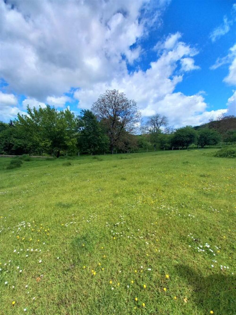 Ferme à rénover de 500 m2 à La Creuse (70240) Axe Vesoul/Lure sur 40 ares de terrain à 15 minutes de Vesoul à 69 900 euros