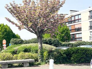  Appartement � vendre 5 pi�ces 98 m�