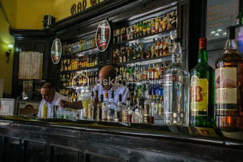 BAR/PMU/FDJ/GITE 155400 14360 Trouville sur mer