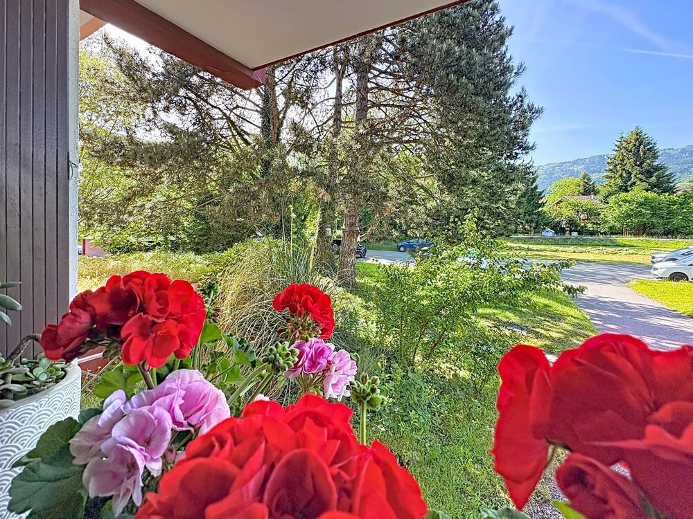 Appartement à vendre 3 pièces BONS EN CHABLAIS (74)
