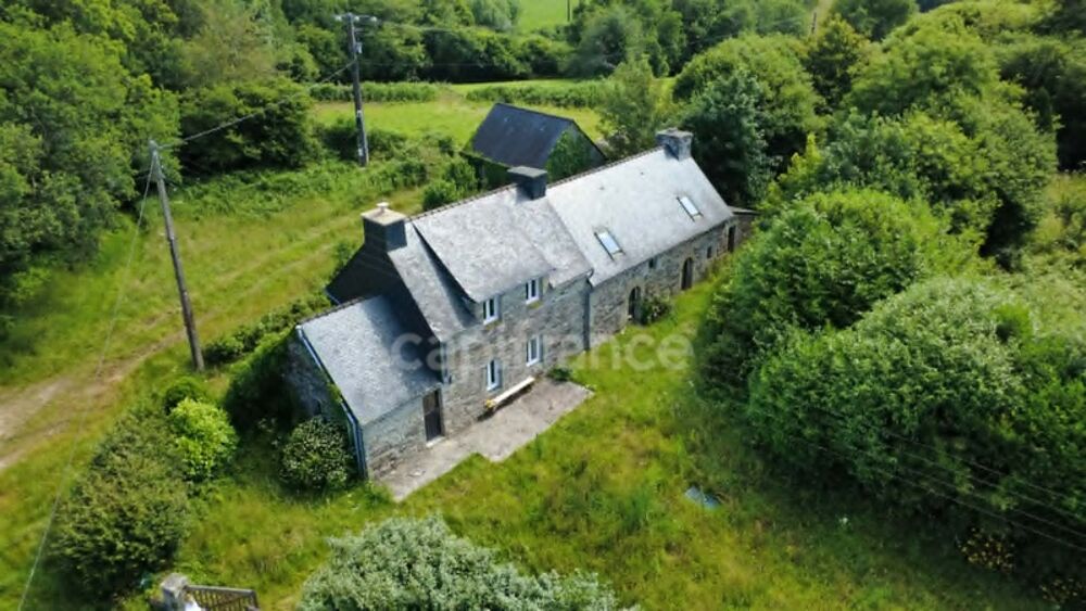 PROPRIÉTÉ DE CARACTÈRE À BERRIEN - Hangar - 6 Hectares