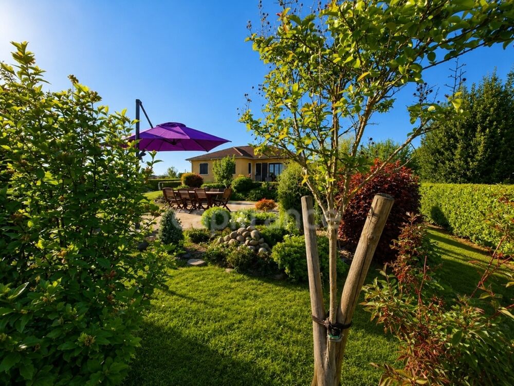 Maison à vendre 4 pièces DOMPIERRE SUR VEYLE (01)