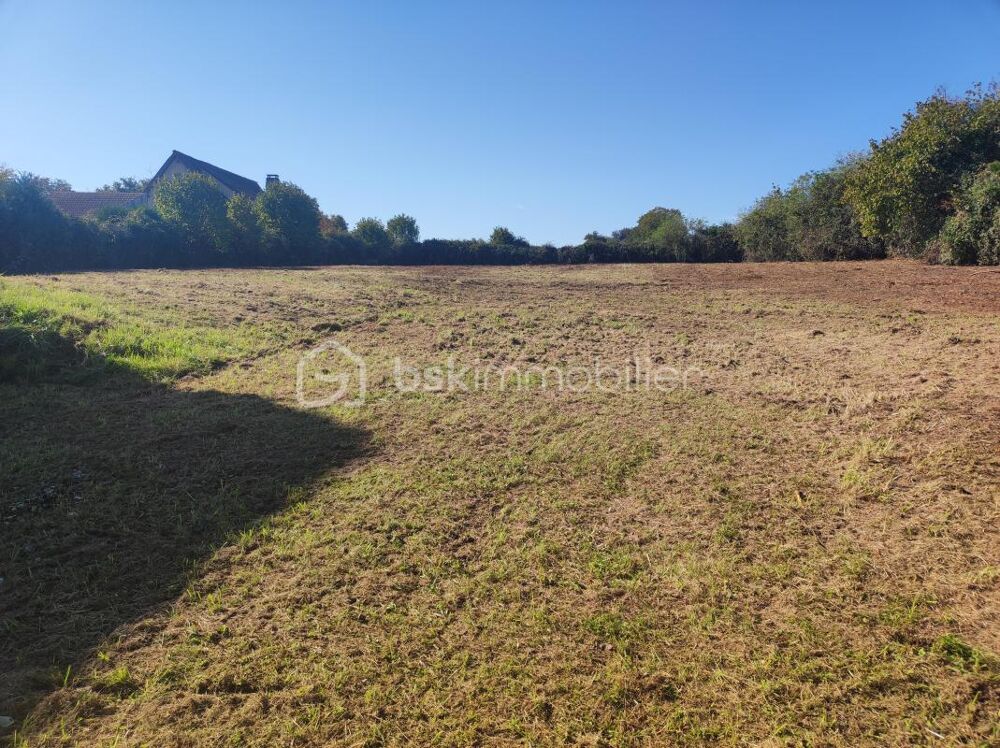 Vente Terrain ? Terrain constructible de 2 514 m² avec grange – Cadre naturel et beau potentiel Champlost