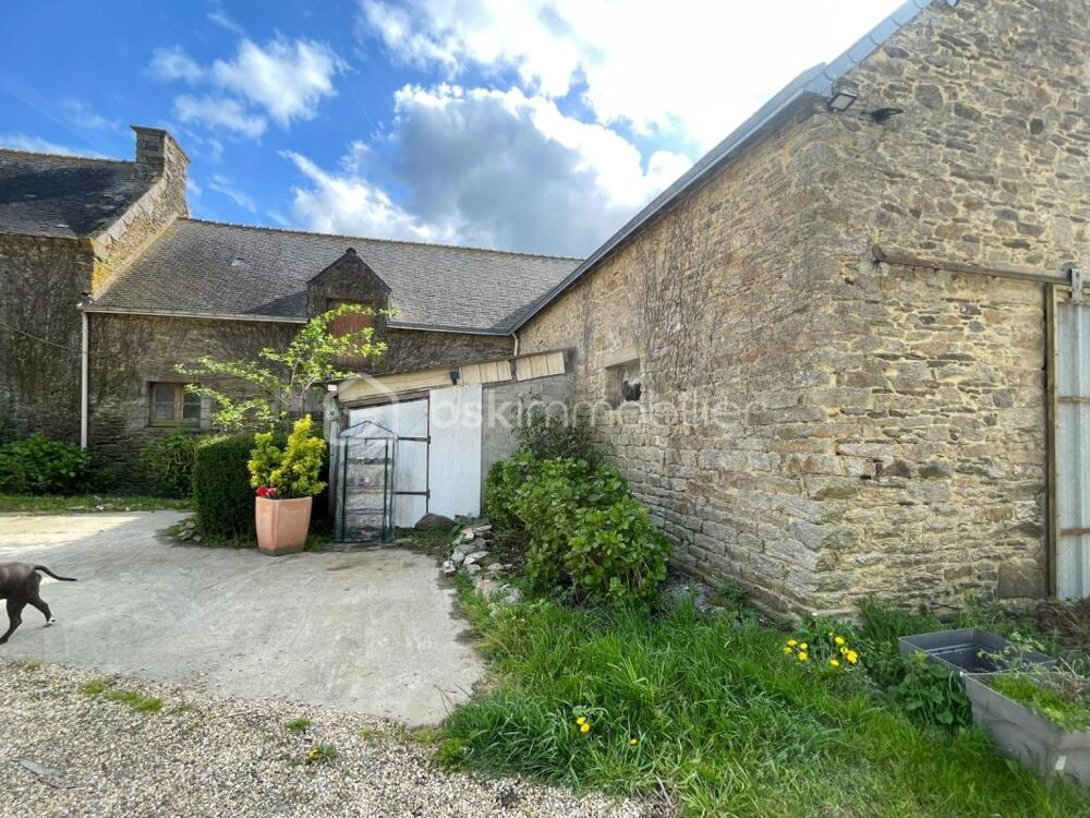 Vente Maison PLEUGRIFFET - 2 MAISONS + 2 HANGARS + 9 839 m² - PROJET RÉNOVATION Pleugriffet