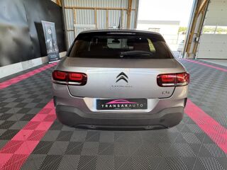 C4 cactus Shine 2019 occasion 56120 Les Forges De Lanouee
