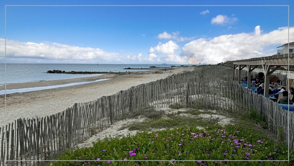 Dpt Hérault (34), à vendre FRONTIGNAN-PLAGE appartement T3 de 51 m² - Plain pied- Front de mer