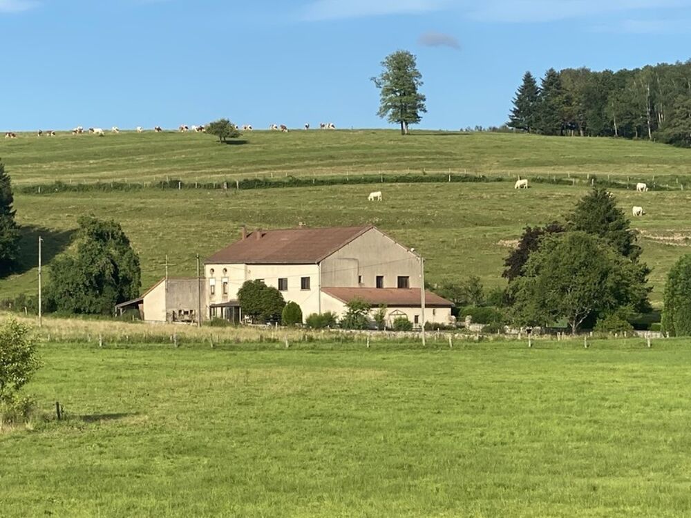 Vente Proprit/Chteau Dpt Vosges (88),  vendre ESCLES proprit T13 de 390 m environ terrain 12 hectares. Eau de source Darney