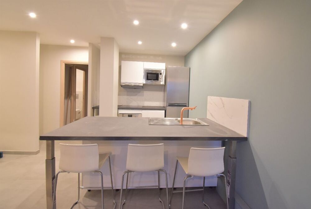 Location Appartement Appartement Lyon 4 pièce(s) meublé 64.84 m2 Lyon 8