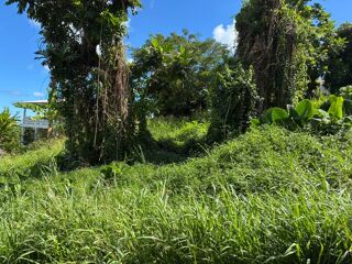  Terrain � vendre 1075 m�