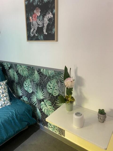  Appartement � louer 1 pi�ce 13 m�