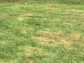  Terrain � vendre 812 m�