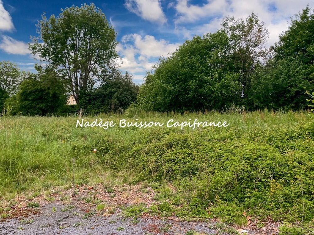 Vente Terrain À vendre – Terrain d'exception de 2 141 m² à GONNEVILLE SUR MER (secteur classé) Gonneville sur mer