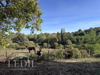 Vente Maison Ensemble de 3 gîtes sur près d'un hectare Castelnau d auzan labarrere