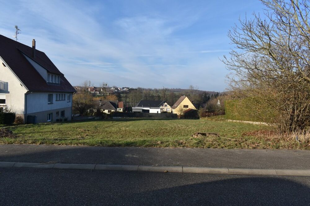 Vente Terrain GRAND POTENTIEL : TERRAIN À BÂTIR EXCEPTIONNEL À DRULINGEN (67320) Drulingen