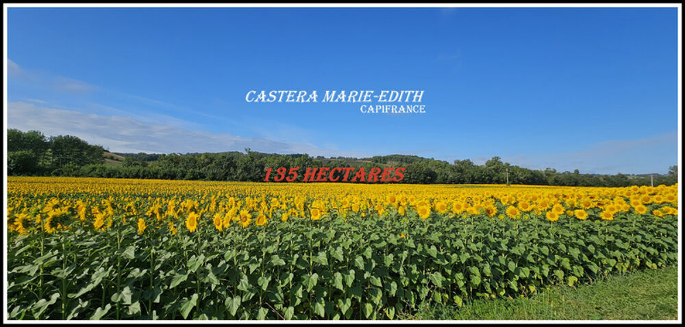 à vendre  Propriété/château Auch (32000)