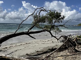  Appartement � vendre 3 pi�ces 60 m�