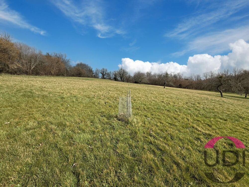 Vente Terrain Terrain d'1 hectare sur la commune de Ste Feyre Sainte feyre