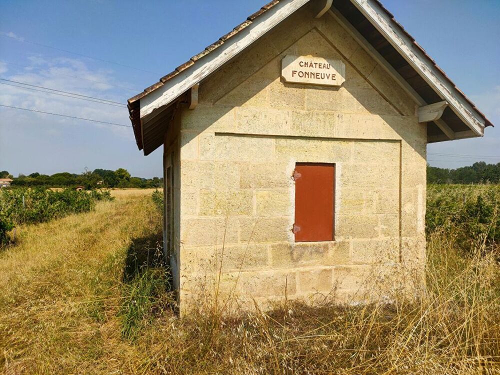 Vente Terrain TERRAIN AGRICOLE 3.13 HECTARES Sainte eulalie