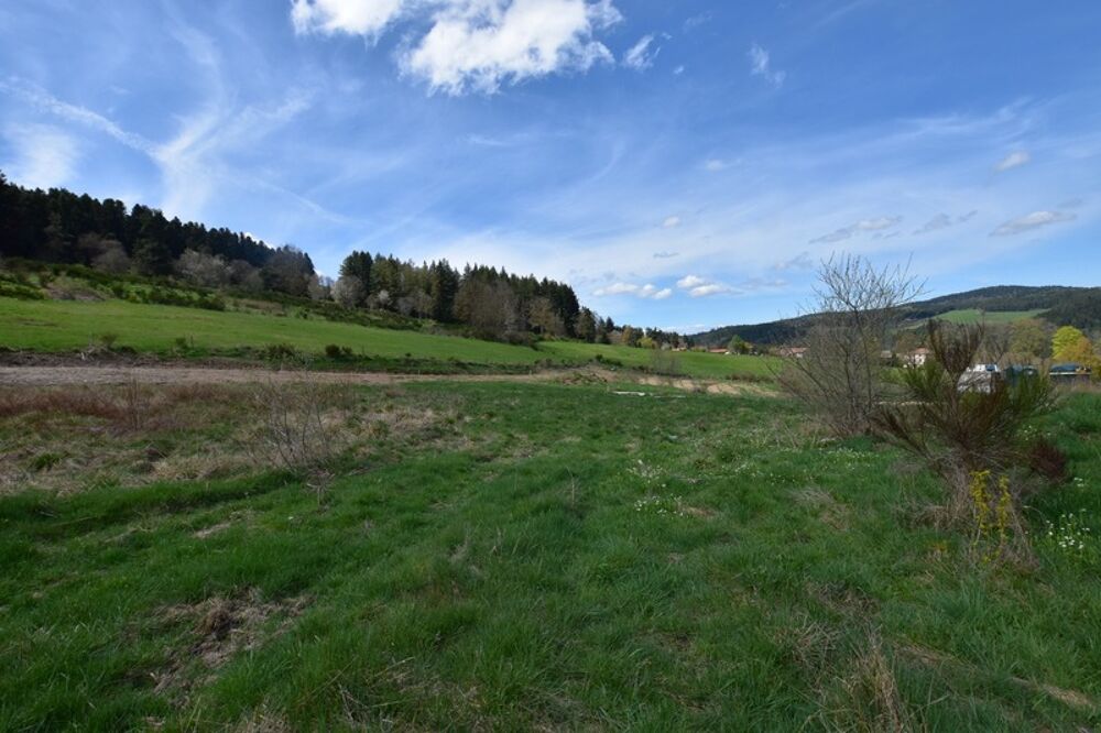 Vente Terrain Terrain viabilisé à vendre de 911,00 m² DUNIERES (43), vue dégagée, belle situation Dunieres